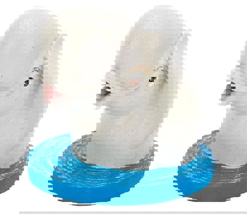 Penn Plax 64686 Finding Dory Baily in Water