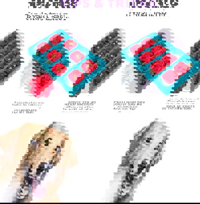 Outward Hound Nina Ottosson Dog Brick Dog Puzzle Interactive Treat Puzzle