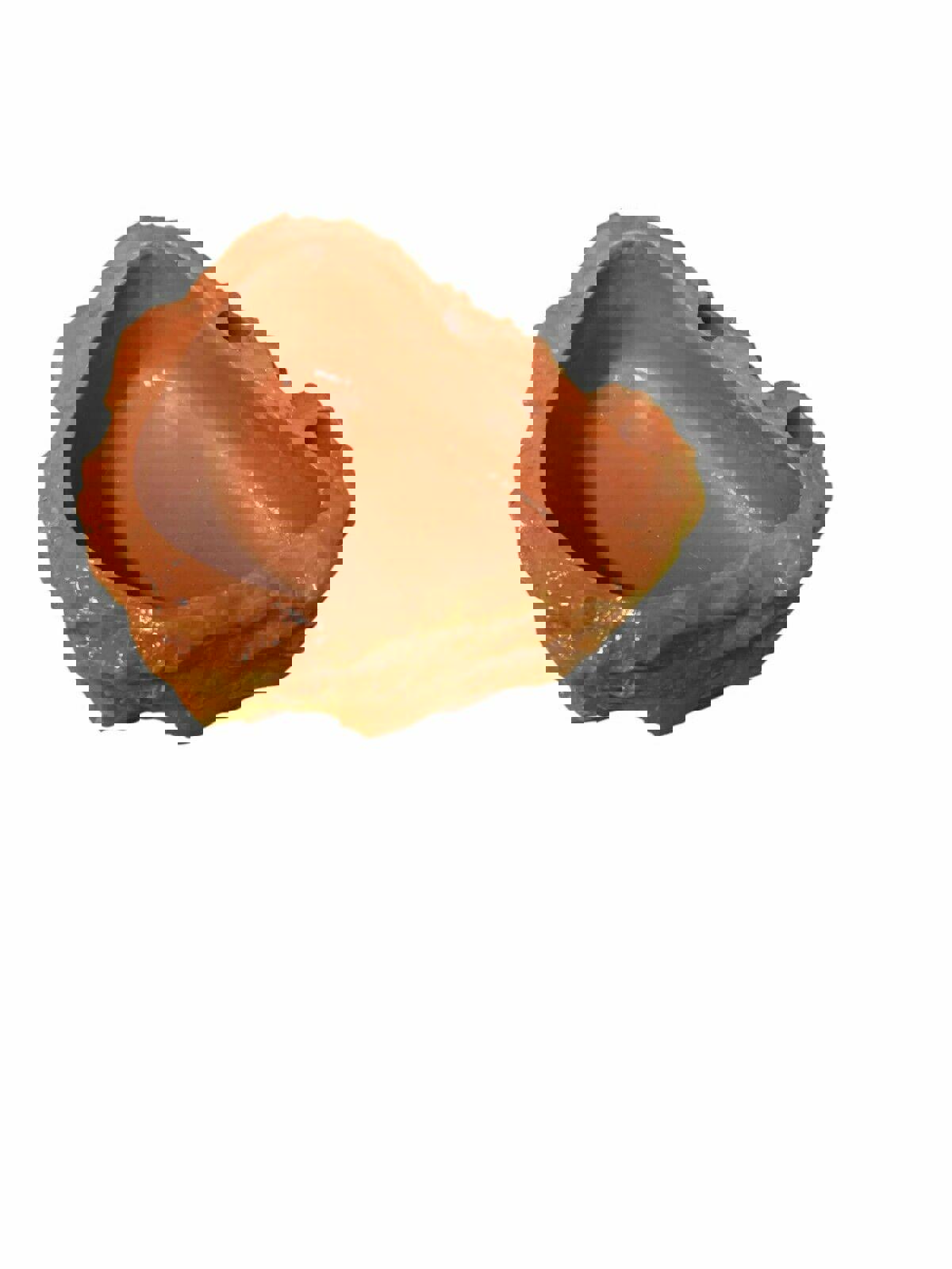 Reptile/Hermit Crab/Tarantula Dishes Lot Assorted Colors 48pc LOT! heavy-weight