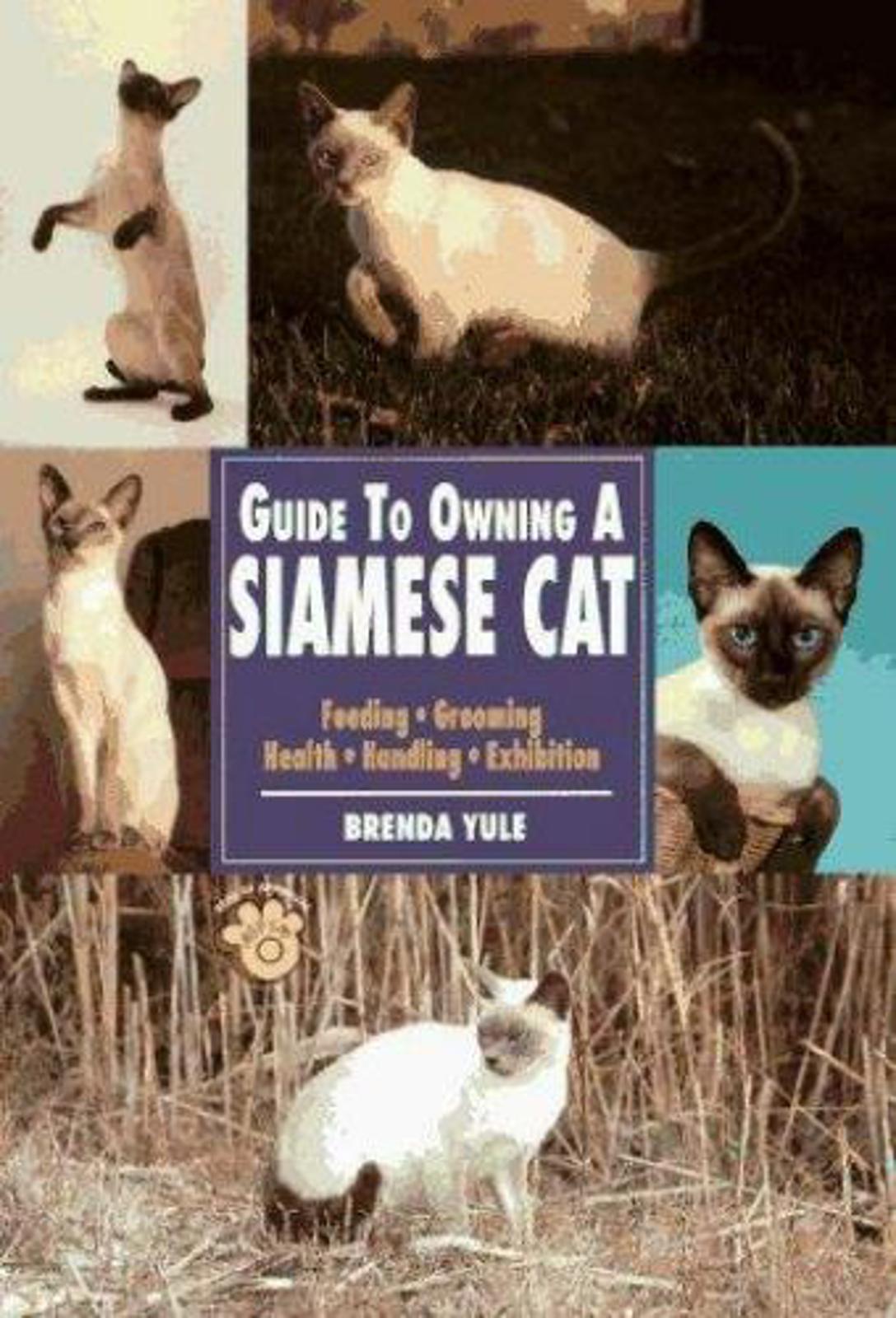 Guide to Owning a Siamese Cat by Yule, Brenda