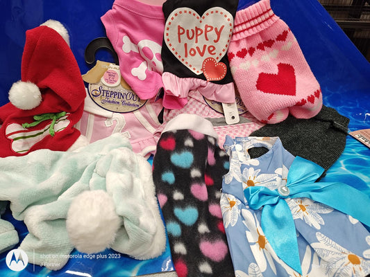Puppy love pet clothing set featuring colorful outfits and accessories for dogs.