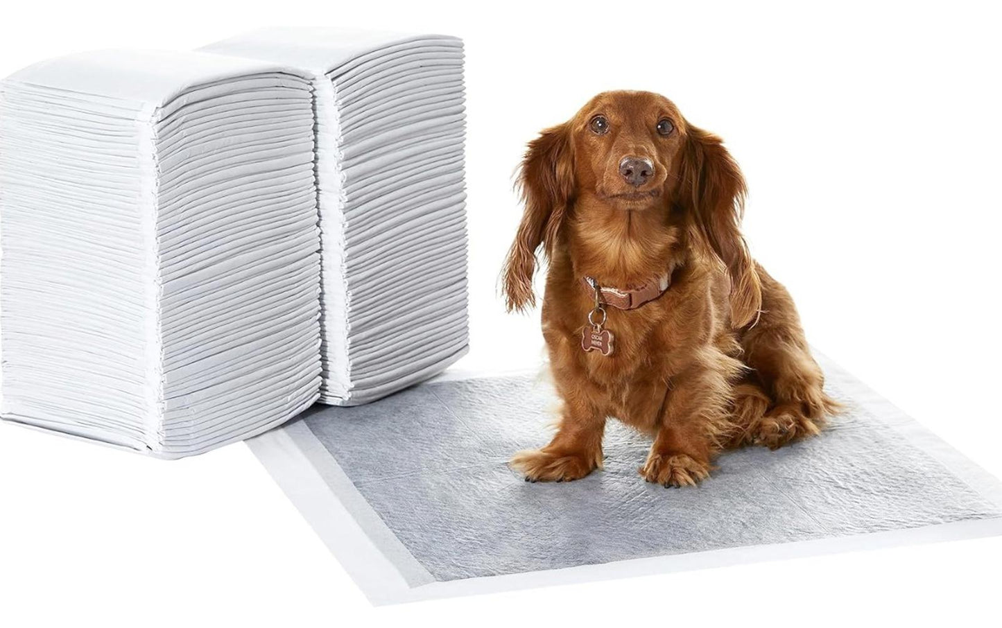 120 Count 22” x 22” Disposable Pads, Leakproof, Absorbent Carbon Pads