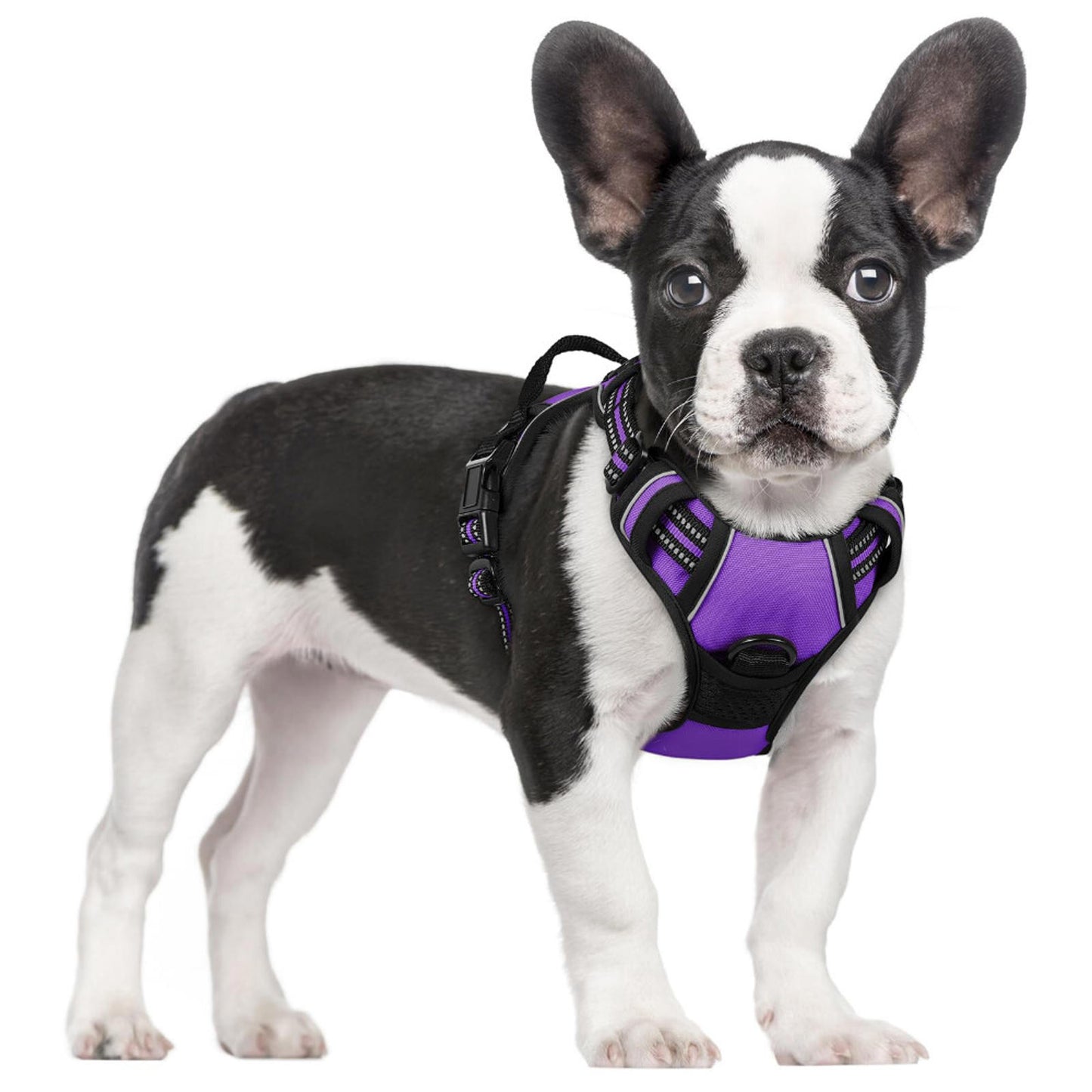 SMALL No Pull Dog Harness Adjustable Padded Vest Reflective Purple
