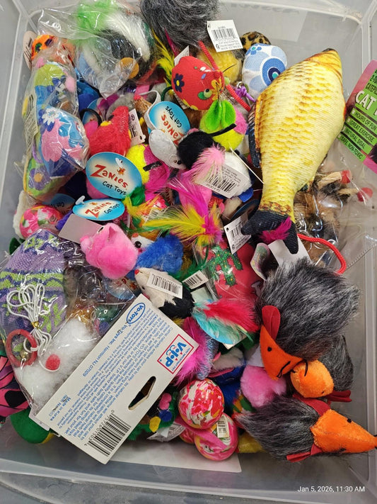 Cat Toy Assortment featuring colorful plush toys, fish, and various textures for playful cats.
