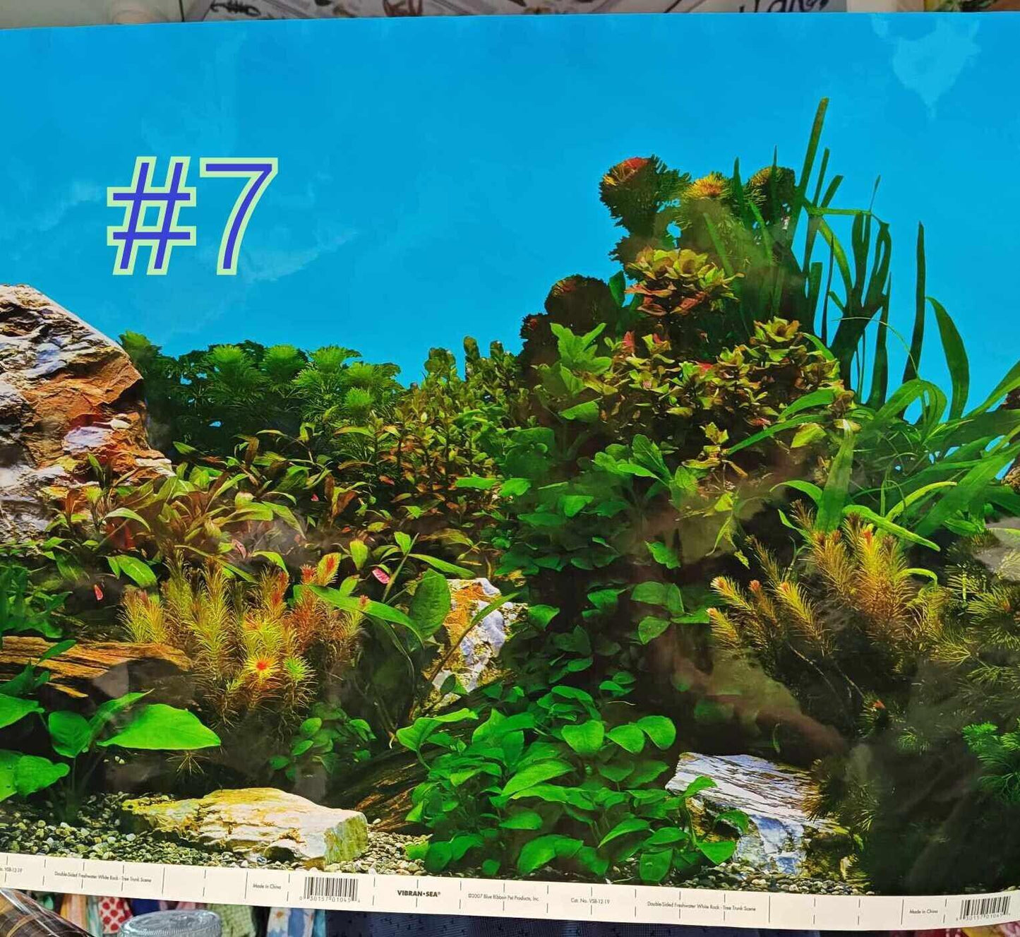 Aquarium/ Reptile Tank Backgrounds Choose your size- Double sided for added fun.