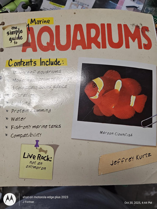Marine Aquariums guide featuring clownfish and essential aquarium care tips.