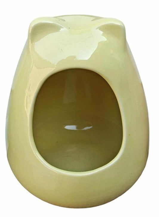 Frog-shaped ceramic pet house in light green color, perfect for small animals.