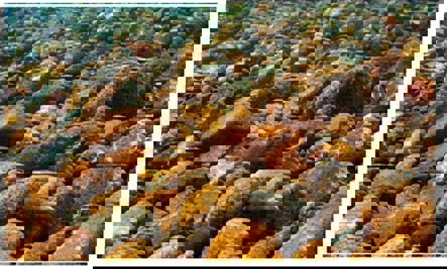 Rocky Shore 3D 10g AQUARIUM BACKGROUND