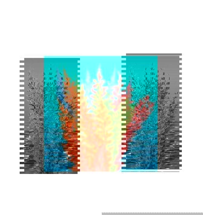 Nature's Image: Aquafern Medium, Freshwater 6" Red, Green or Rainbow Decor