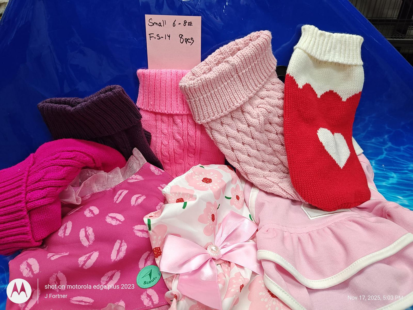 Dog Outfit Bundle ( Small 6 to 8 Pound Pets ) Brand New Save with a Bundle