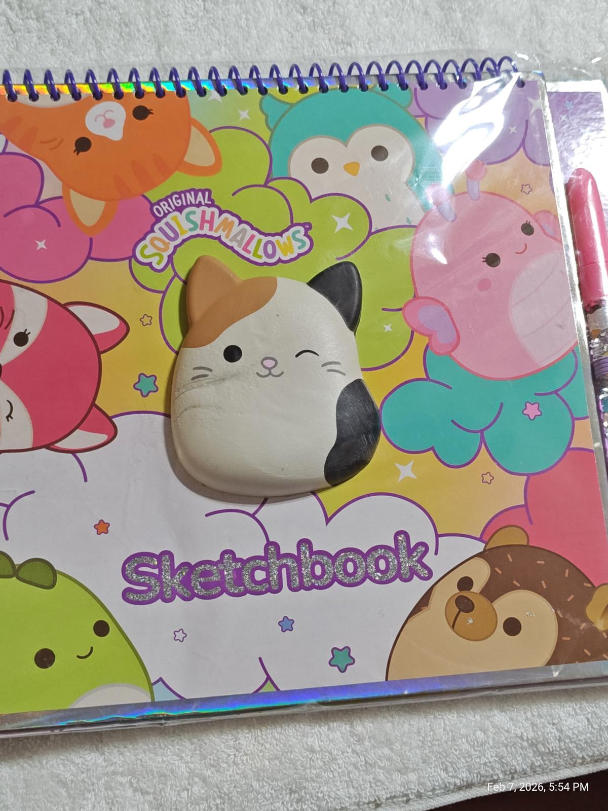 Squishmallows sketchbook featuring a cute cat design with colorful background.