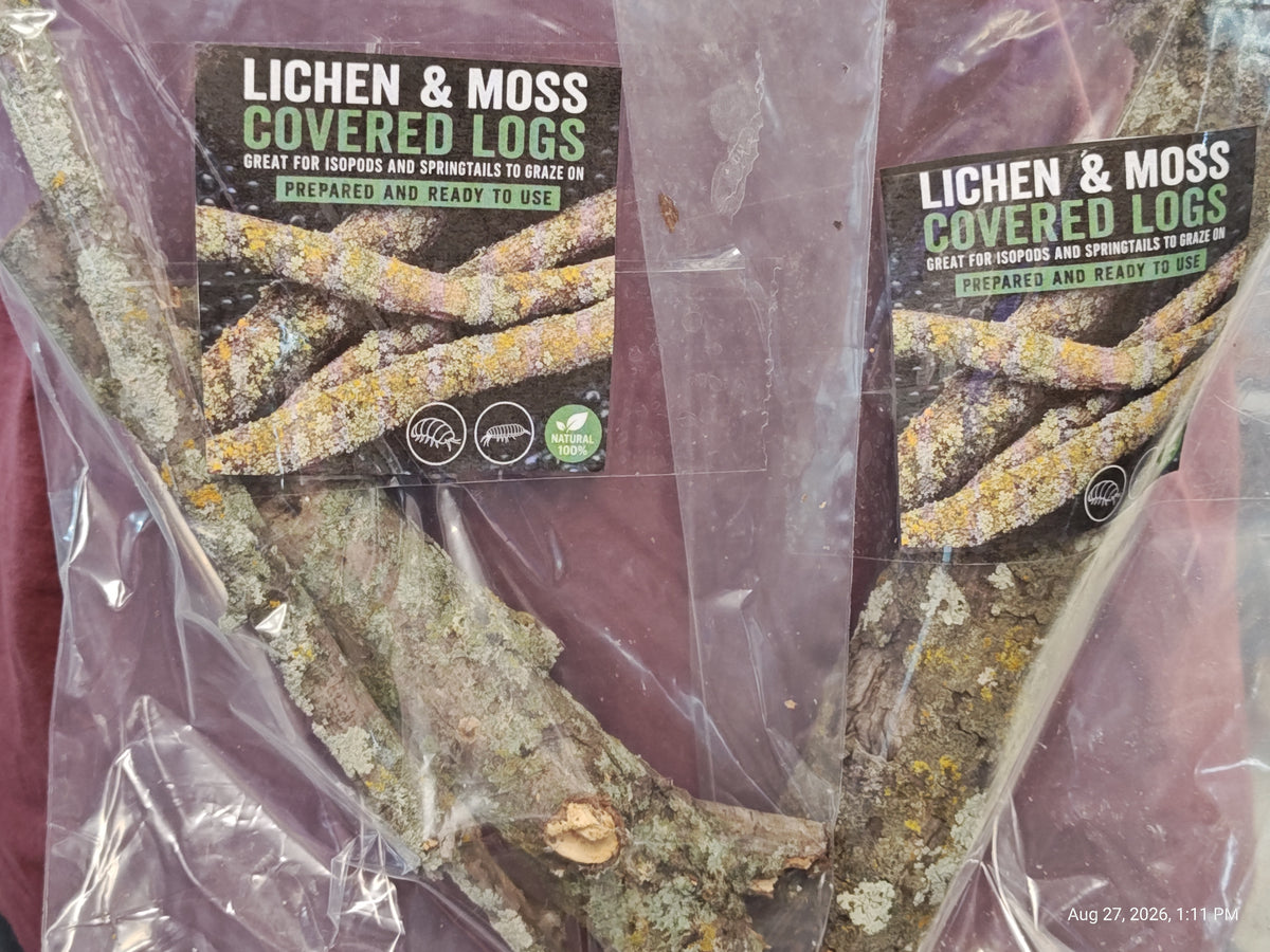Lichen Sticks Bark Pieces – Natural Treats for Isopods by PNC Family FInds