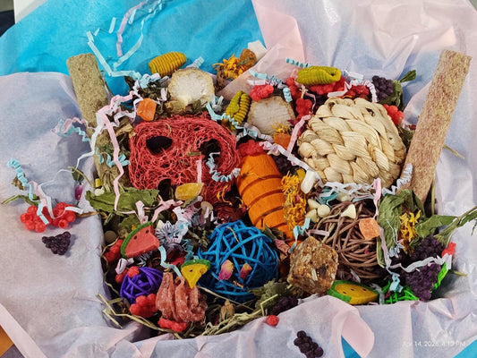 Play & Chew Rodent Fun "No More Boredom" Box - Rats, Mice, Gerbils, Hamsters...
