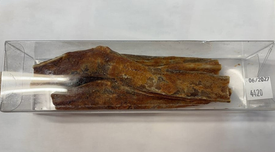 Barkin' Big Pumpkin Bullé Gourmet Coated Bully Sticks