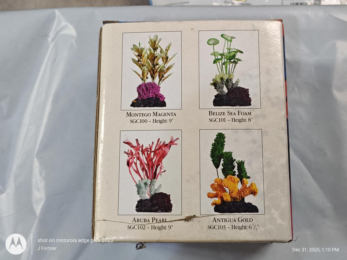 Aquarium plants set featuring Maranta, Sea Fan, Asta, and Anubias Green for vibrant aquatic decor.