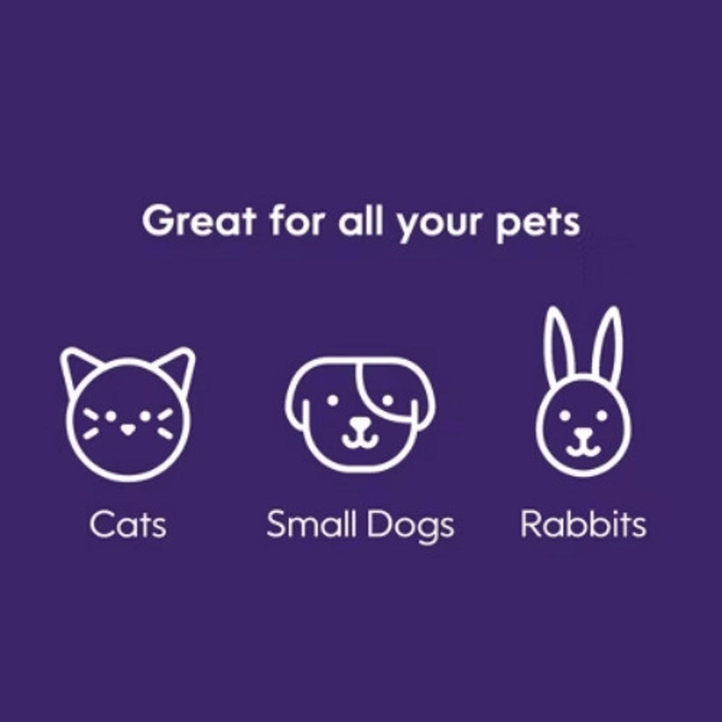 Litter Genie Design Pail Cat Waste Container System