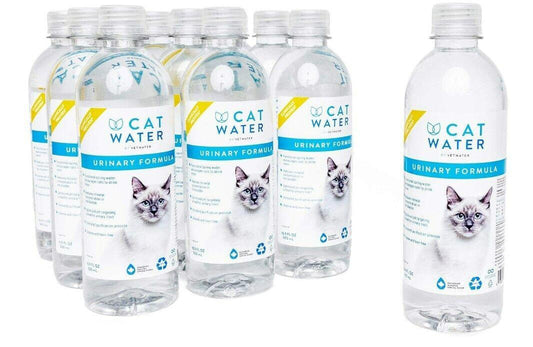 Cat Water bottles featuring a clear design and a cat image, perfect for keeping pets hydrated.