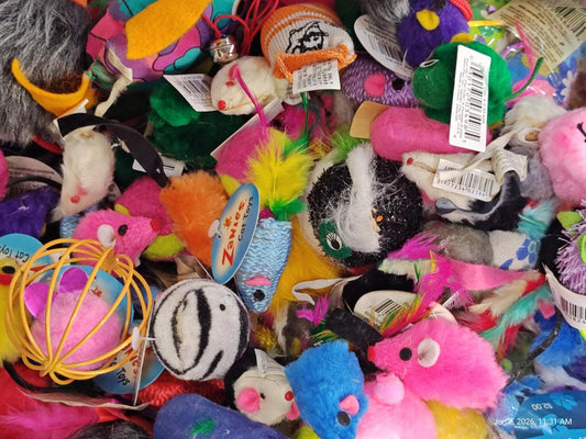 Colorful cat toys including various plush mice and balls for playful pets.