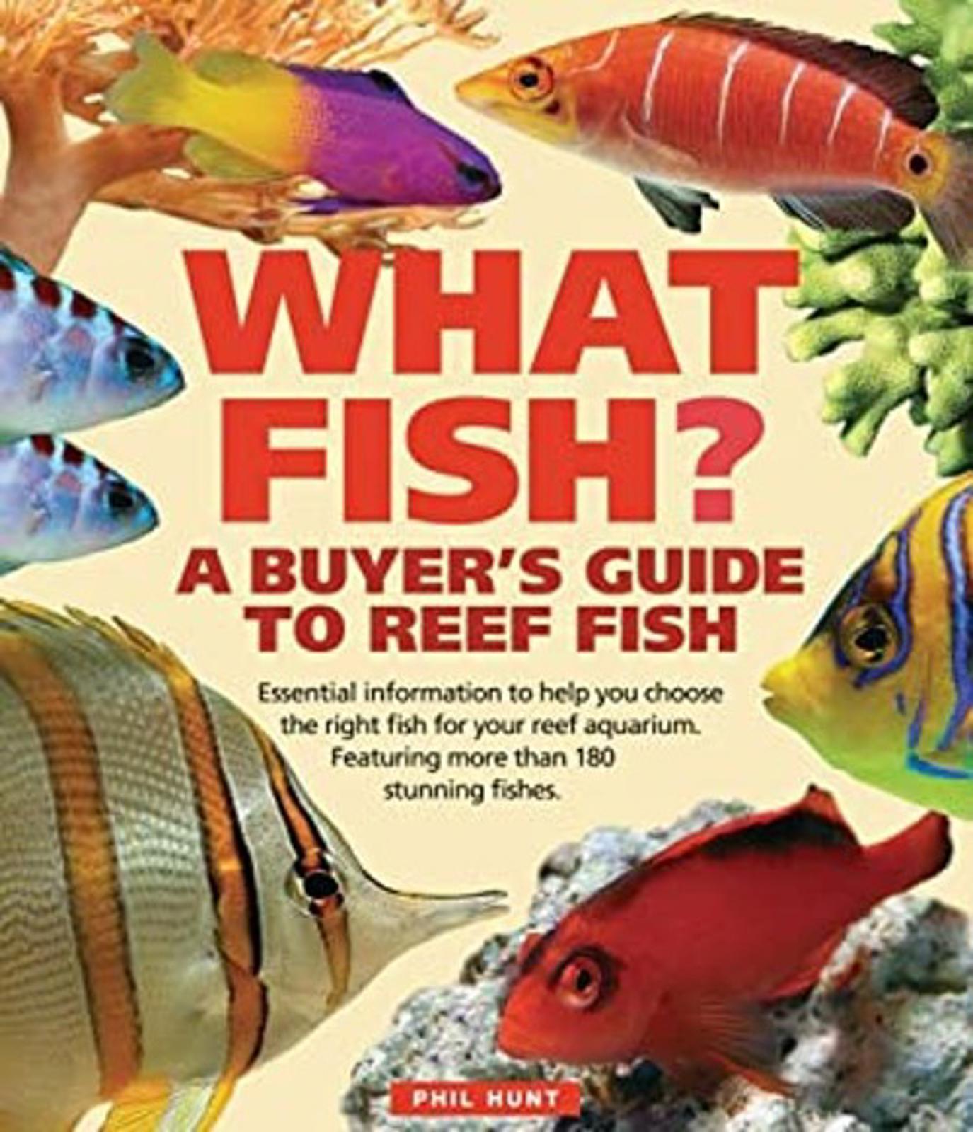What Fish? : A Buyer's Guide to Reef Fish Paperback Phil Hunt