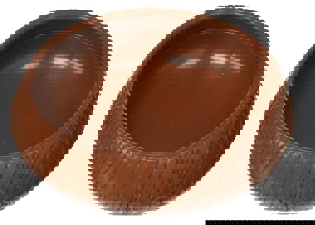 Mealworm Dish Brown Lee's Aquarium New 20165