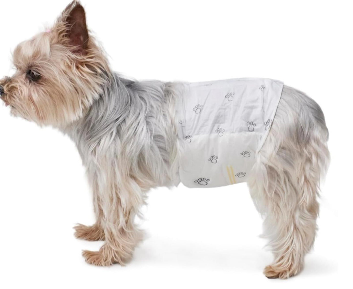 Male Dog Wraps, Disposable - Medium Pack of 30 Wraps