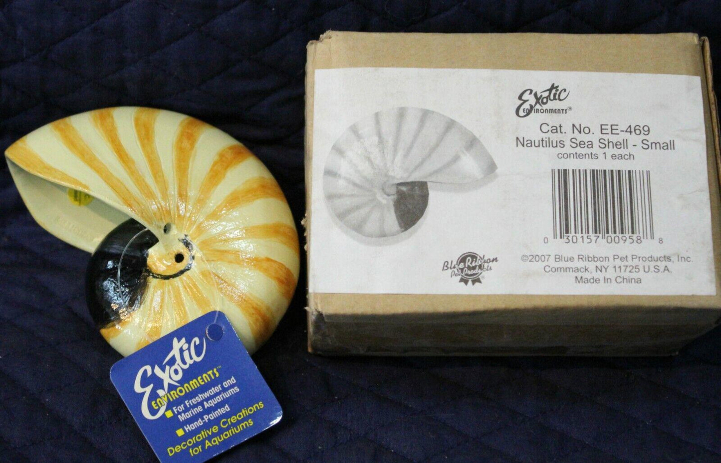 Exotic Expressions Nautilus Sea Shell Small features a vibrant yellow and white spiral design.