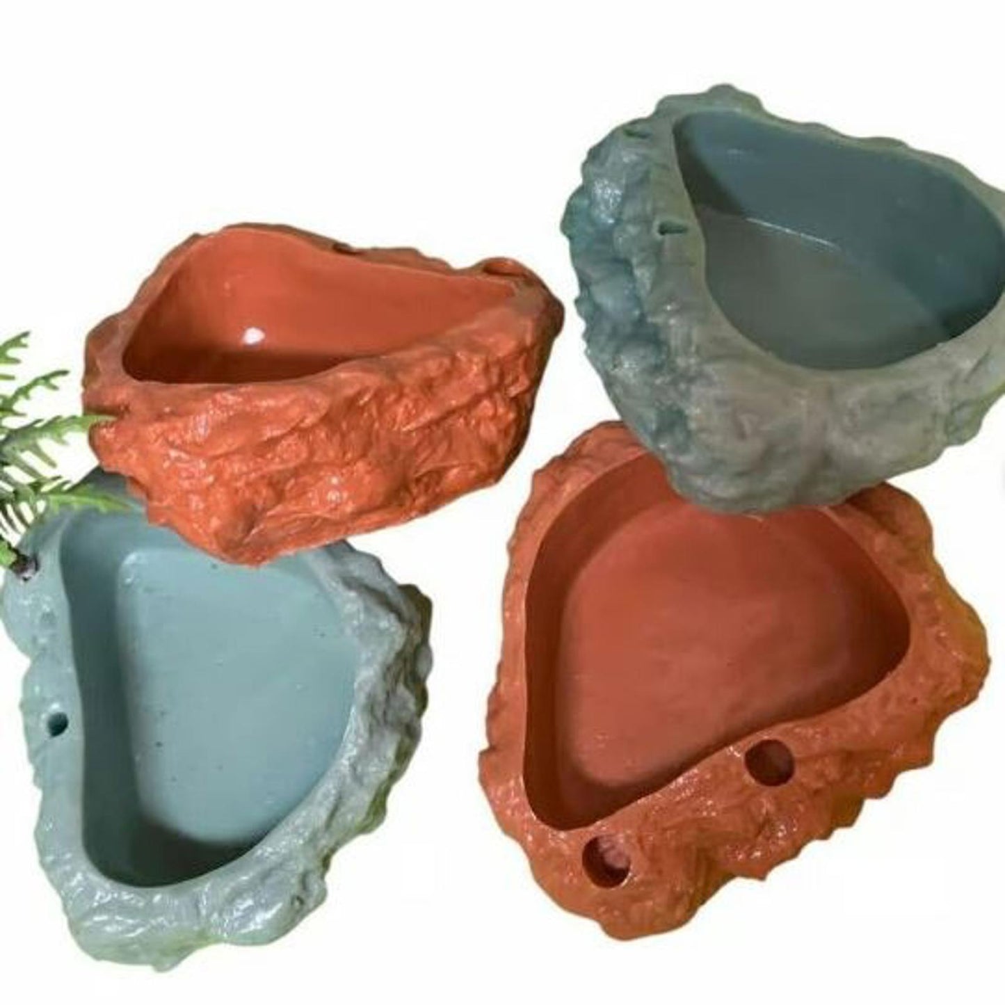 Bowls for Hermit Crabs, Reptiles dishes great for Crested Geckos ,Tarantulas etc