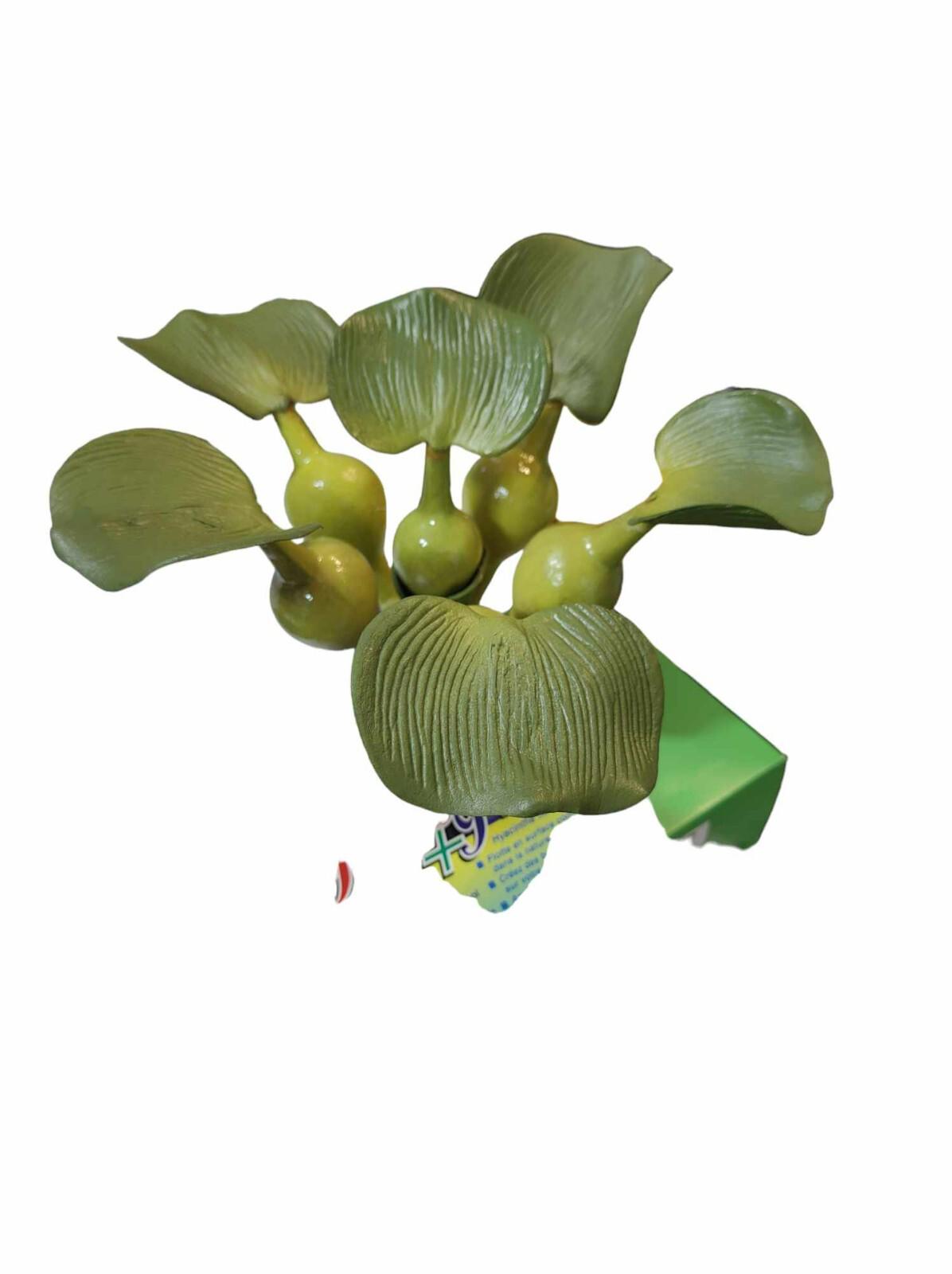Green Decorative Plant with Leafy Foliage and Round Accents.