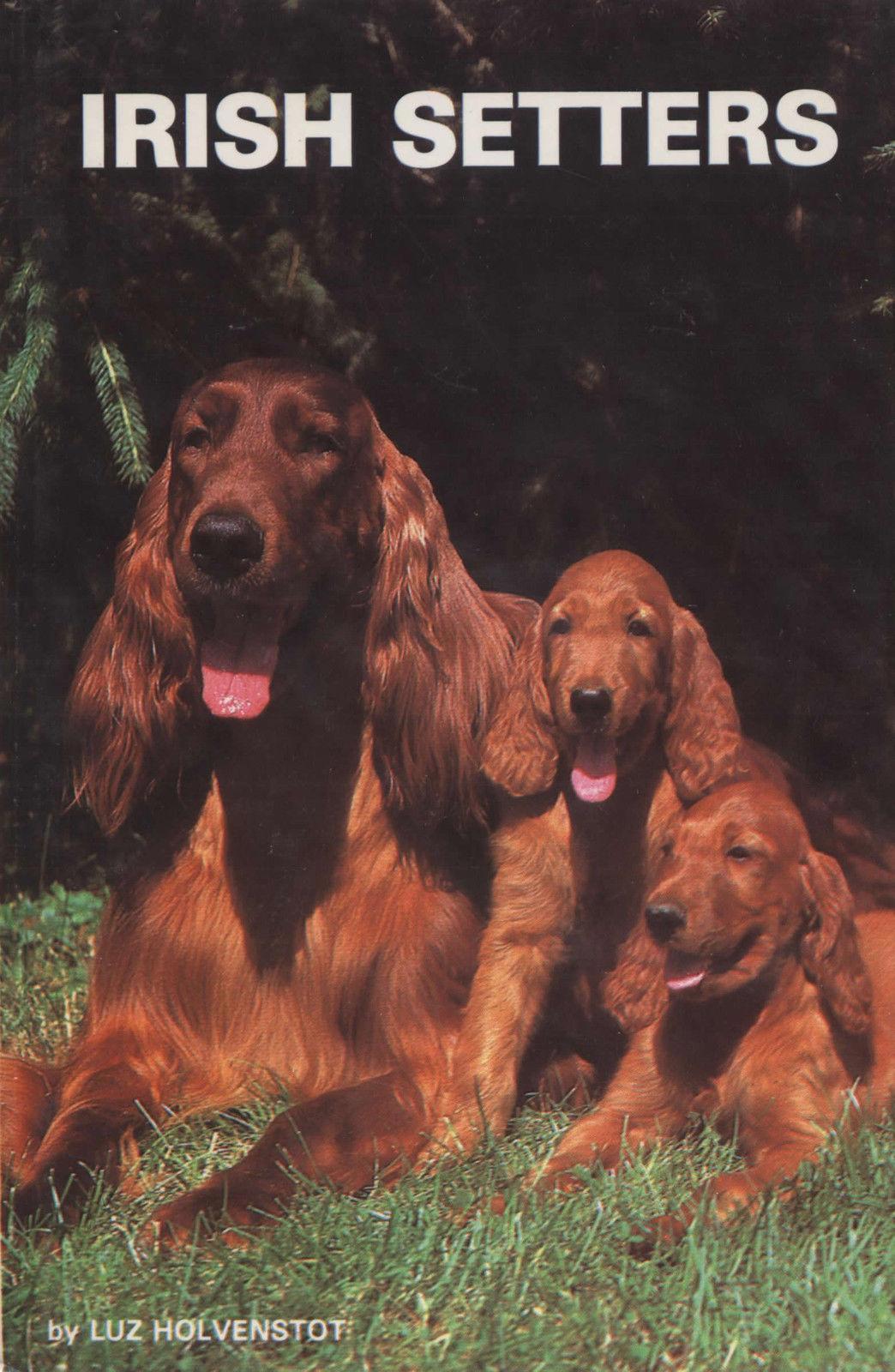 Irish Setters sitting on grass, showcasing their beautiful red coats and friendly expressions.