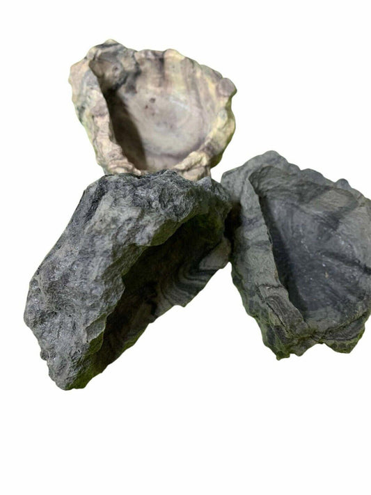 Natural Stone Display featuring unique textures and colors in a set of three pieces.