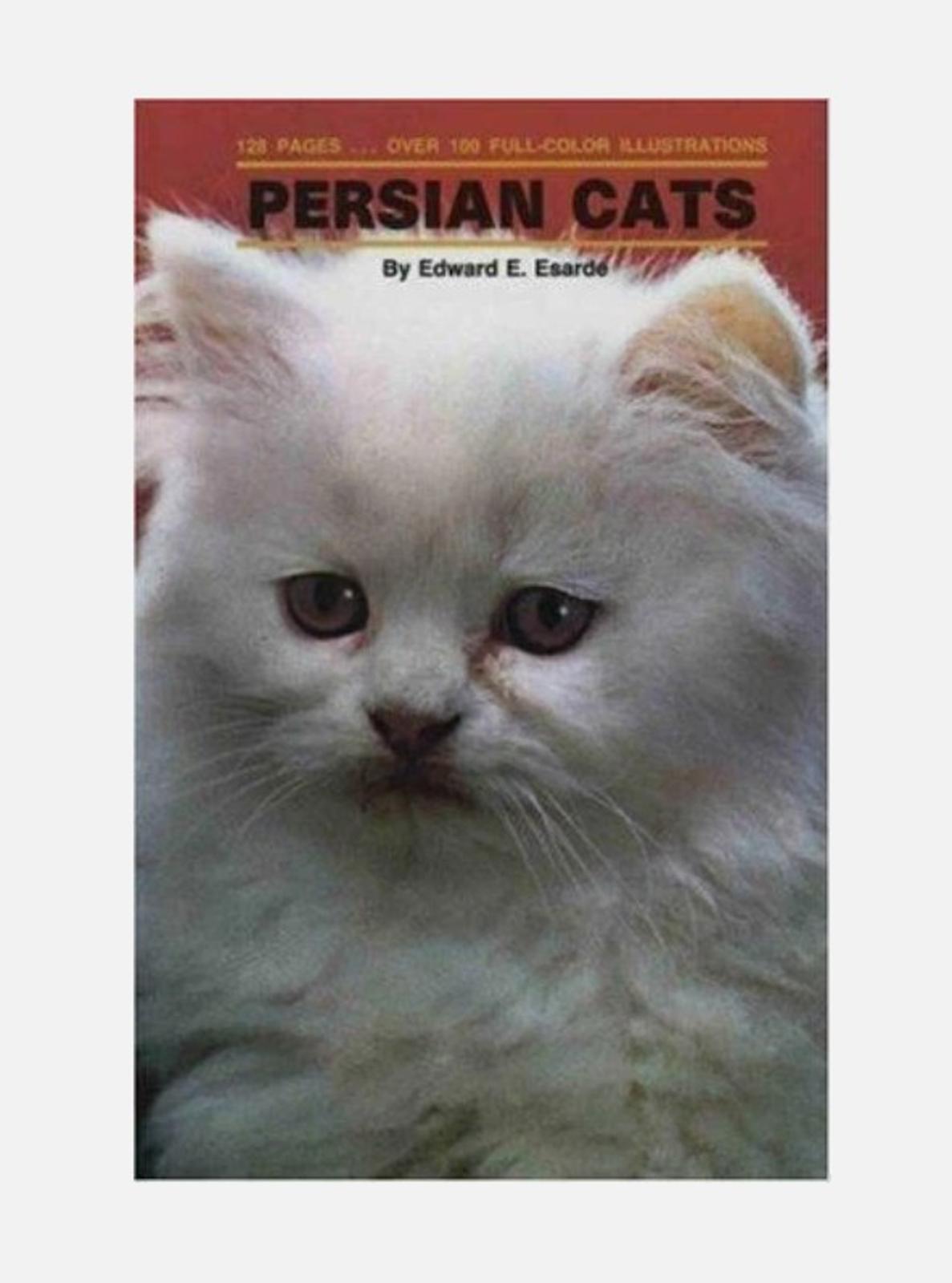 Persian Cats book cover featuring a fluffy white cat with striking eyes.