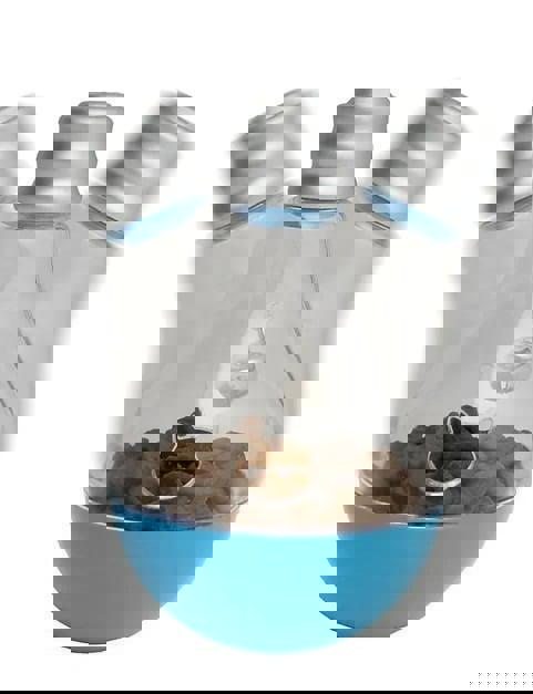 Pet Treat Dispenser features a unique light bulb design with a blue base and transparent container.