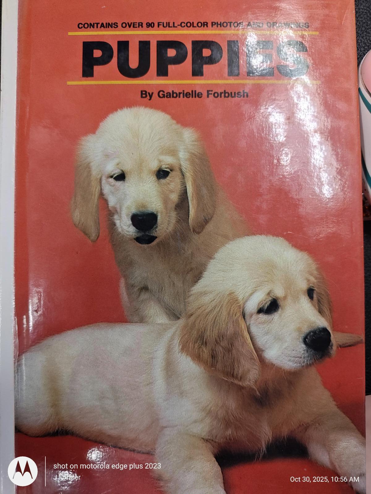 Puppies book cover featuring two golden retriever puppies on a bright red background.
