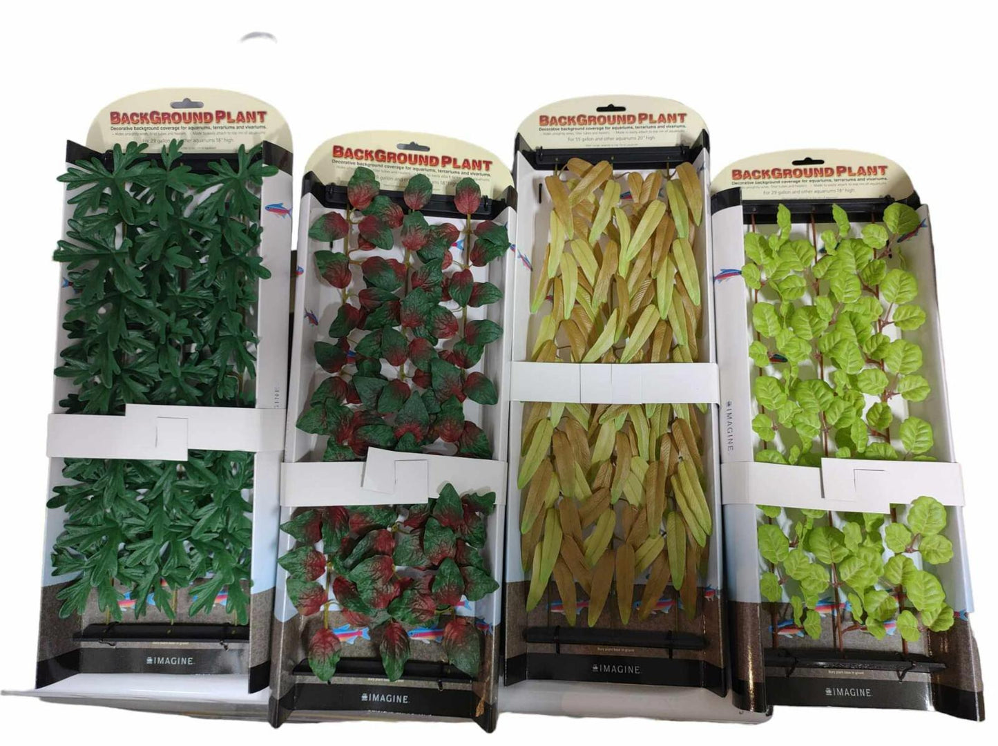 Reaching Plant set featuring four varieties of vibrant green and red foliage.