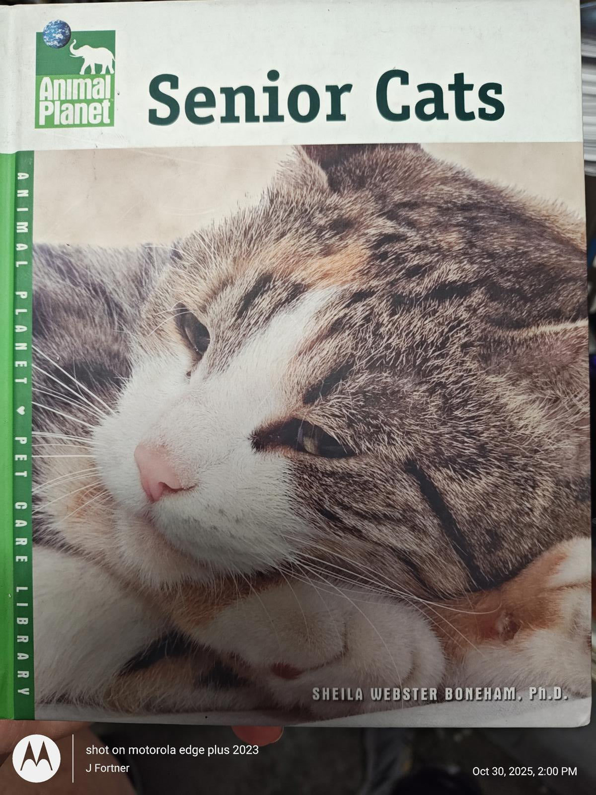 Senior Cats book cover featuring a close-up of a cat's face and a soft background.