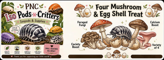 Isopod & Invertebrate Treat 4 Mushroom/Egg Shell Treat