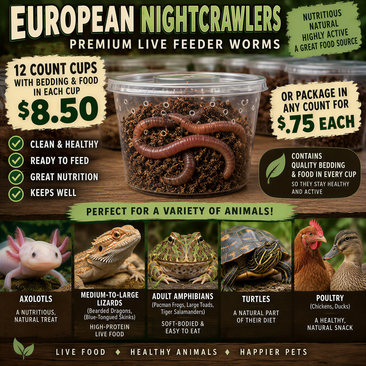 European Nightcrawlers in a cup with food & bedding