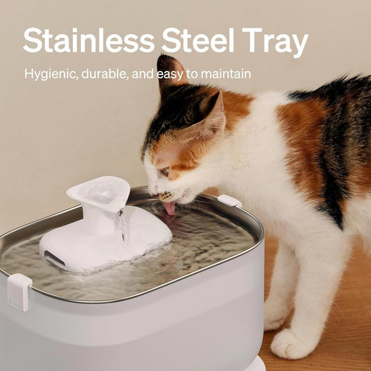 Stainless Steel Tray with a cat drinking water, hygienic and durable design.