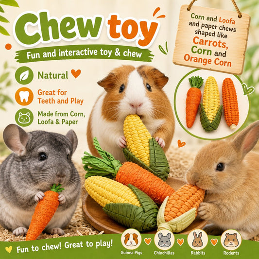Keeping Rodent & Small Animal Teeth Trimmed: Chews, Toys & Enrichment