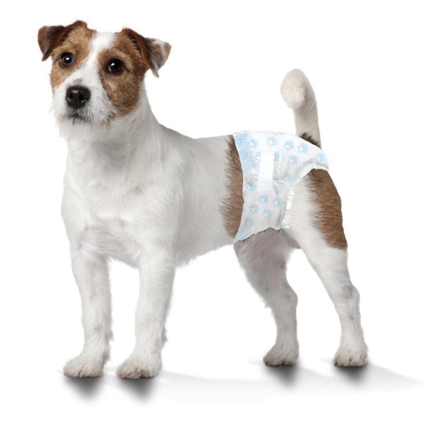 Wee Wee Disposable Dog Diapers 36 Count Small for Incontinence/training