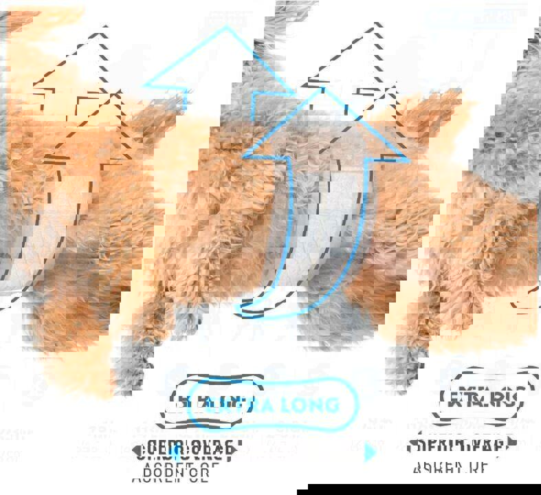 Paw Inspired Select Fit Disposable Male Wrap | Belly Band for Male Dogs with Ext