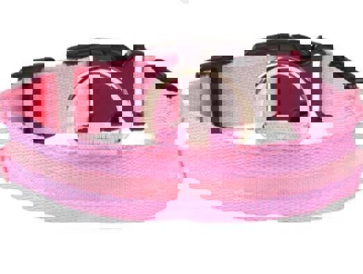 LED Adjustable Dog Collar- 5 Sizes 7 Colors  Blinking Flashing/Solid