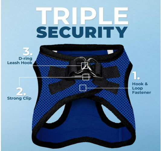 Triple Security harness featuring a D-ring leash hook, strong clip, and hook & loop fastener in blue.