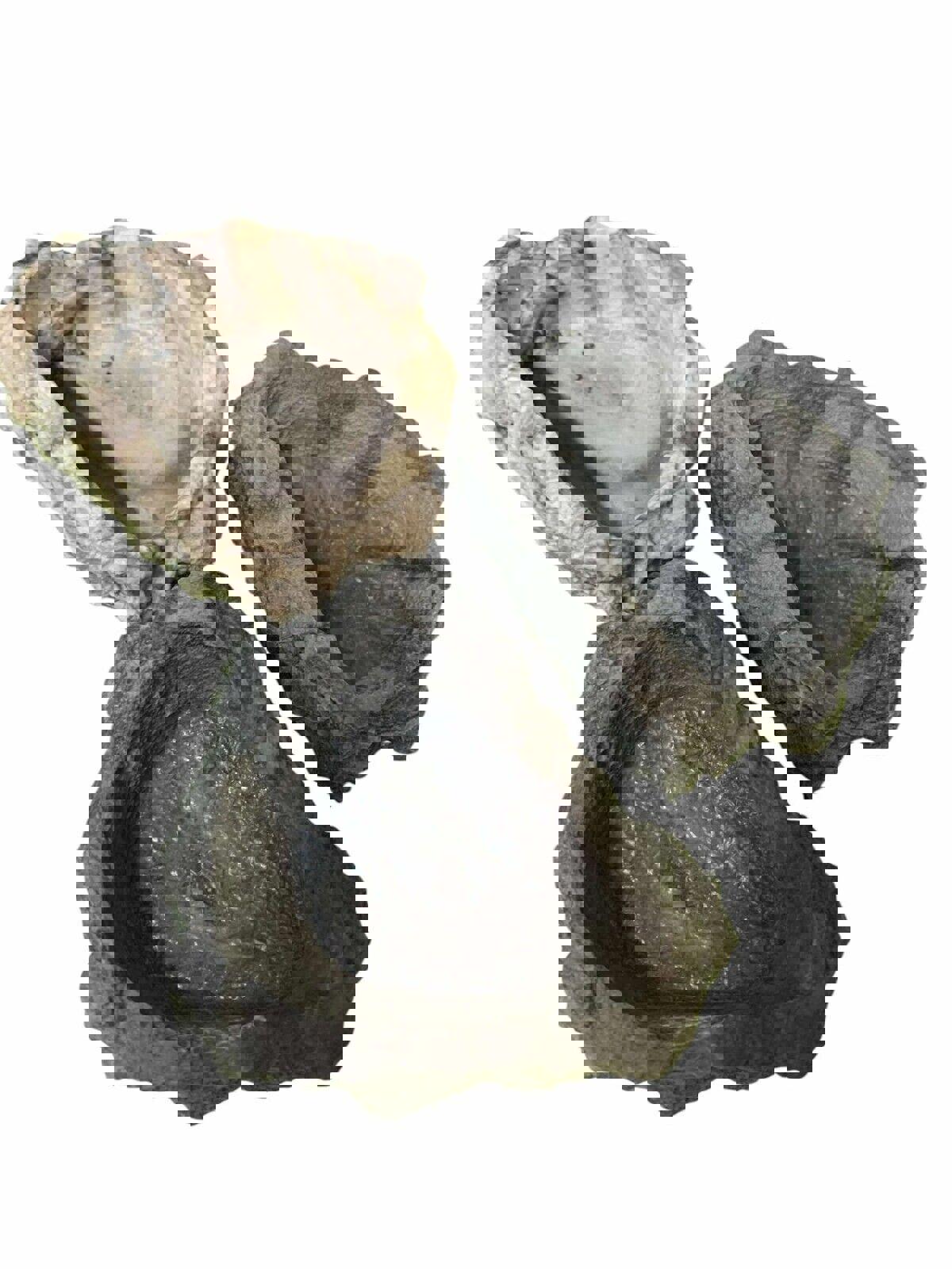 Reptile/Hermit Crab/Tarantula Stone Look Dishes Asst.Colors 48pc