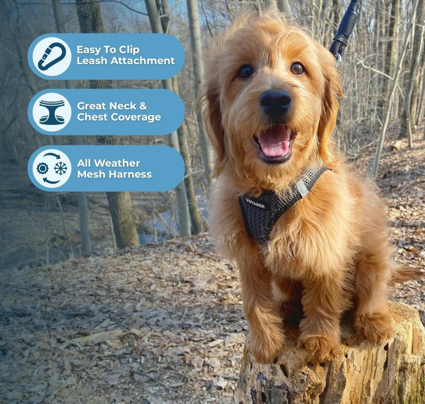 All Weather Mesh, Reflective, No Pull Harness for Large Dogs, Large