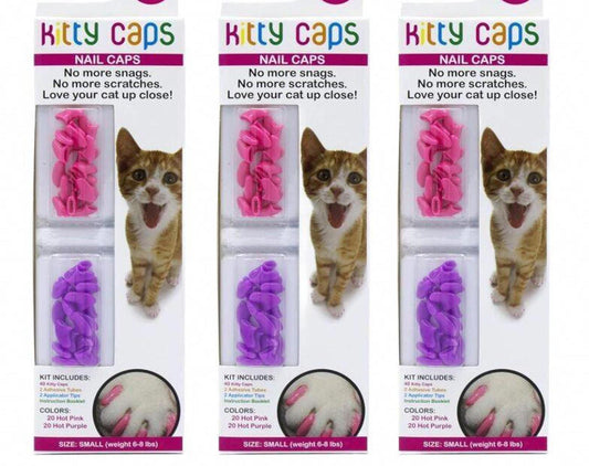 Kitty Caps nail caps in pink and purple colors for cats, preventing scratches and snags.