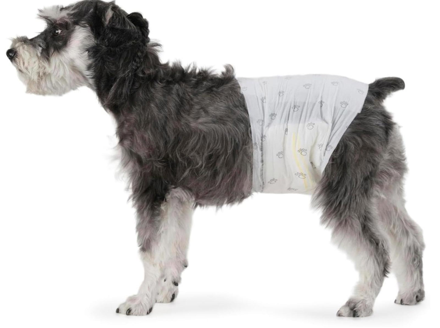 Male Dog Wraps, Disposable - Medium  Pack of 30 Wraps