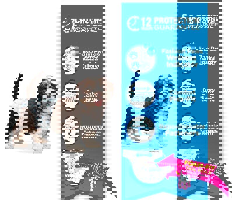 Four Paws Wee-Wee Super Absorbent Disposable Dog Diapers, Extra Small (12 Count)