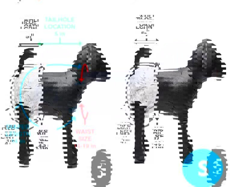 Paw Inspired Disposable Dog Diapers | Female Dog Diapers Ultra Protection | SMAL