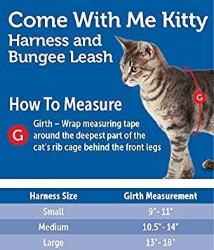 Come With Me Kitty Cat Harness & Bungee Leash Medium Black
